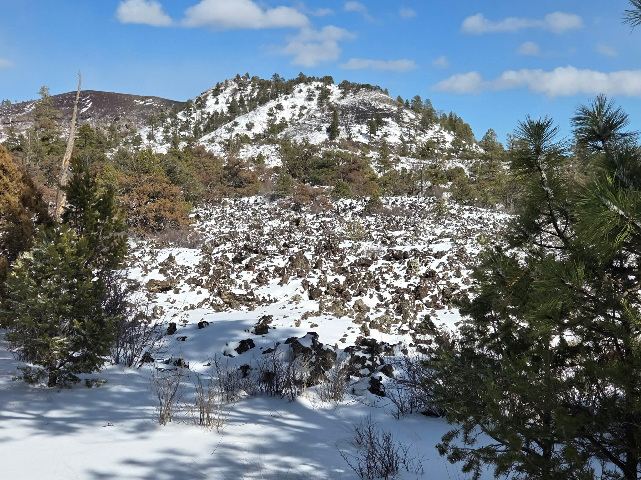 Snow-covered mesas and pines on Cerro Brillante Ranch
